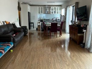 20250127_041325227_iOS