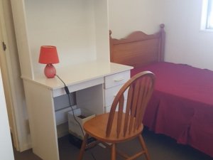 80417_20200519_121058_thb