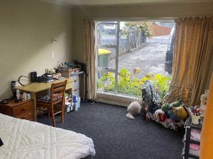 IMG_8355