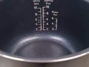 1000018782