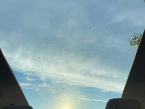 IMG_2470