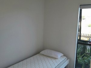 20250423_140921_resized_2