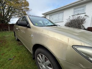 IMG_1241