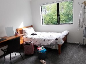 IMG20250220172246
