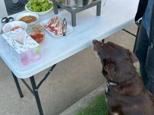 IMG_7171