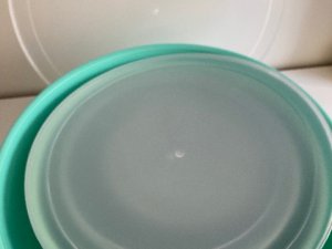 IMG_1961