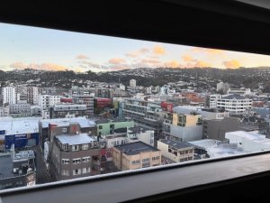 IMG_7561