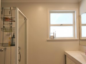 Shower and toilet u