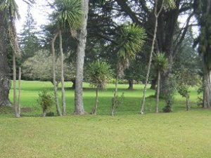 IMG_0055