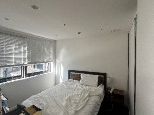 IMG_6565