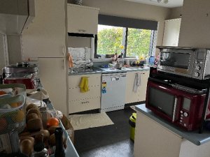 IMG_0448
