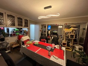 IMG_3525