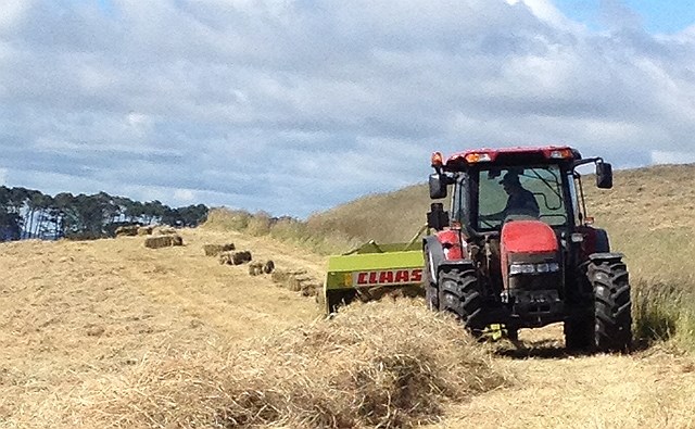 08-hay-1