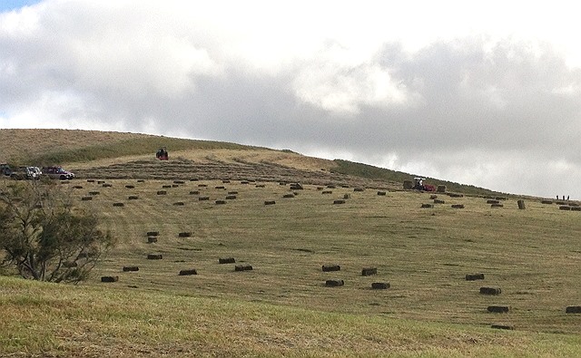 08-hay-2