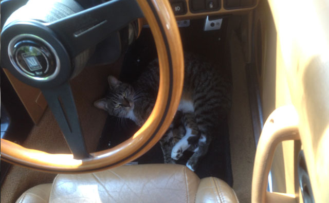 私の車は