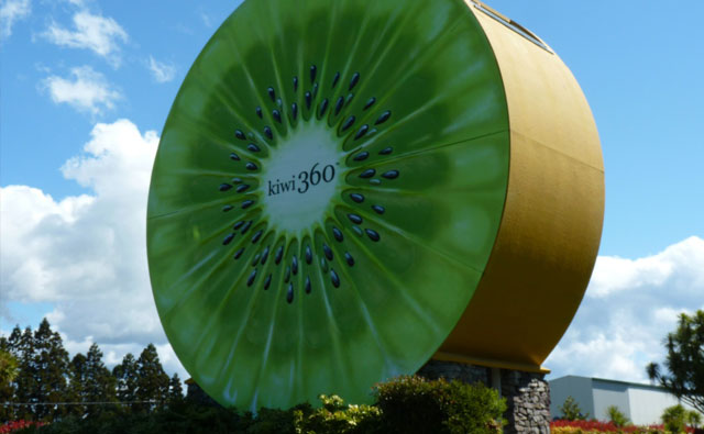 ジャイアントキウイオブジェ