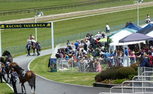 タウランガ競馬場2