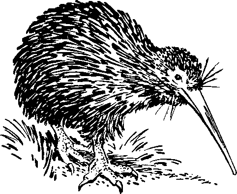 imageresize