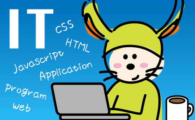 Web Developer