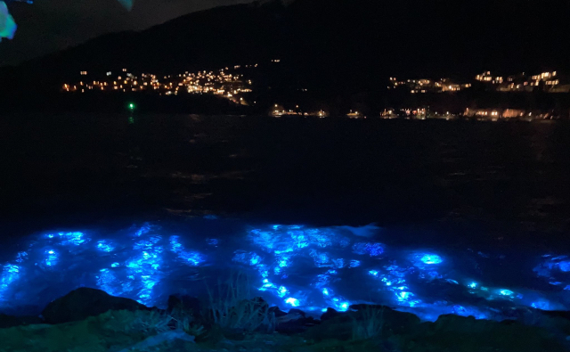 luma2