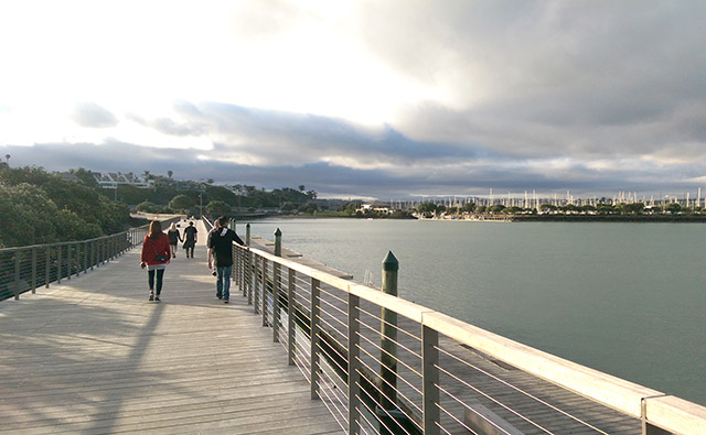 ボードウォーク The Westhaven Promenade,Auckland