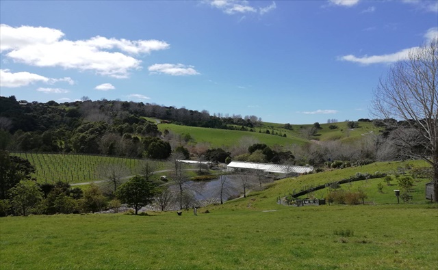 Brick Bay Wines & Sculpture Trail