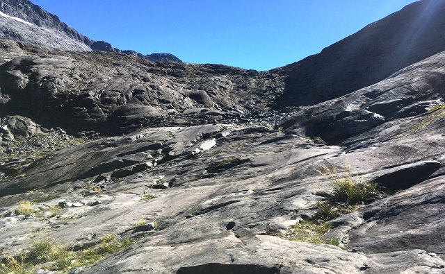 photo-2