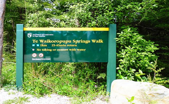 Te Waikoropupū Springs