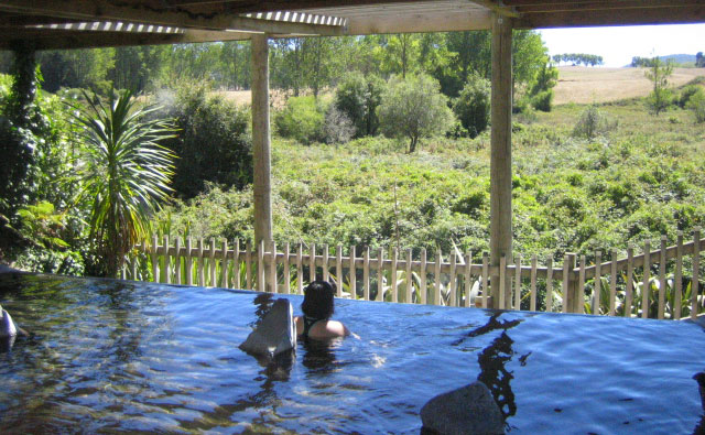 Waikite Valley