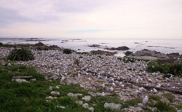 DSC 2955