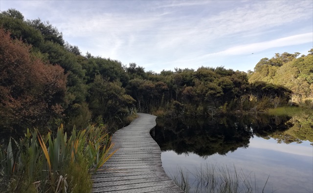 Lake Wilkie