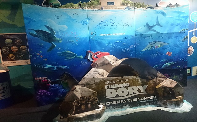 DORYと一緒に学ぼう