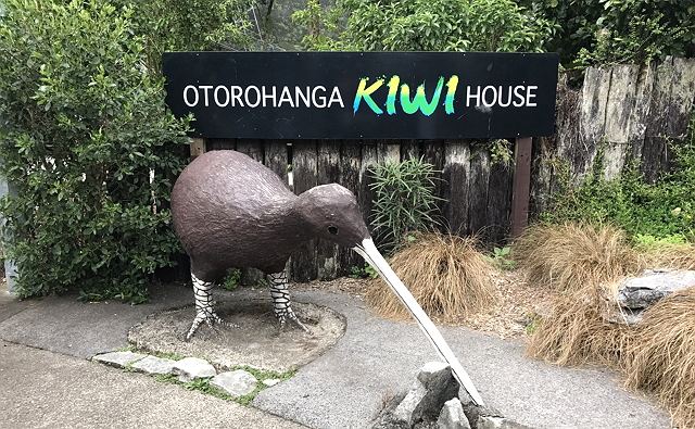 キーウィを見に行こう！
