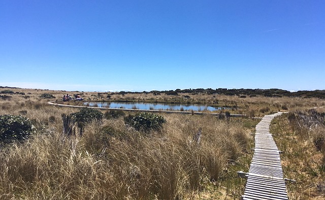 photo-5