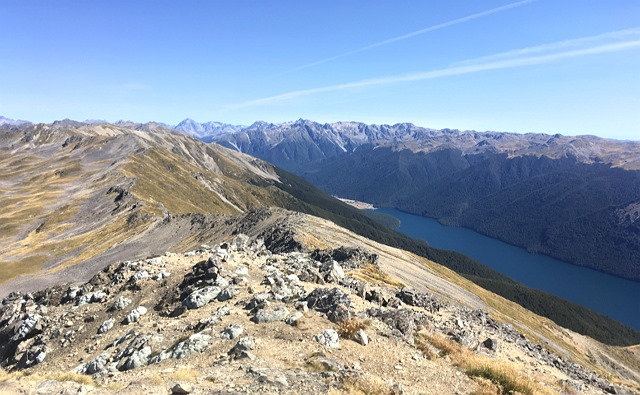 photo-1