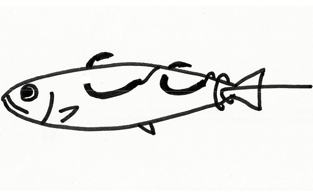 nz-fishing-3