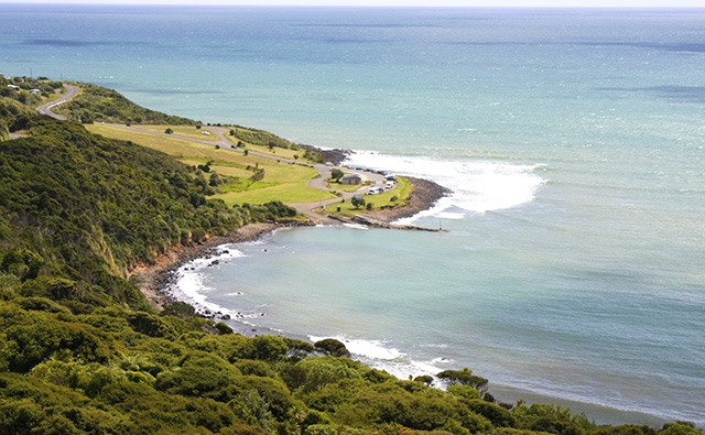Raglan