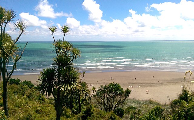 raglan15