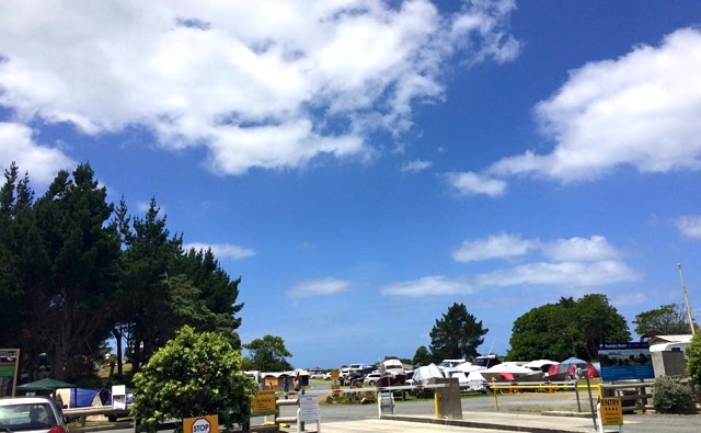 Ruakaka1