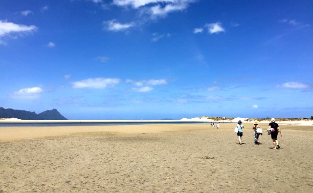 Ruakaka2