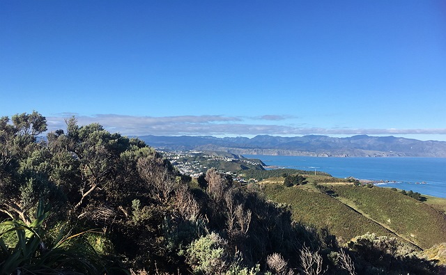 image1-2