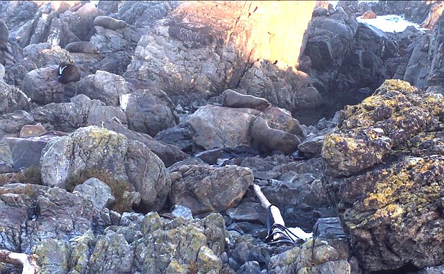 image4