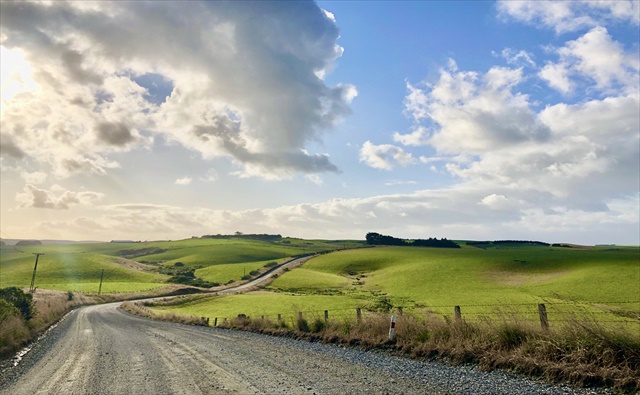 The Catlins
