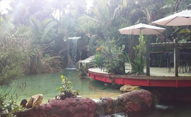 The Lost Spring