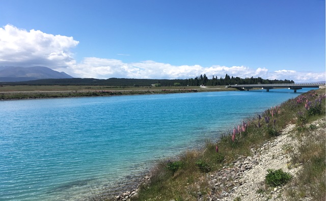 トラウト釣り
