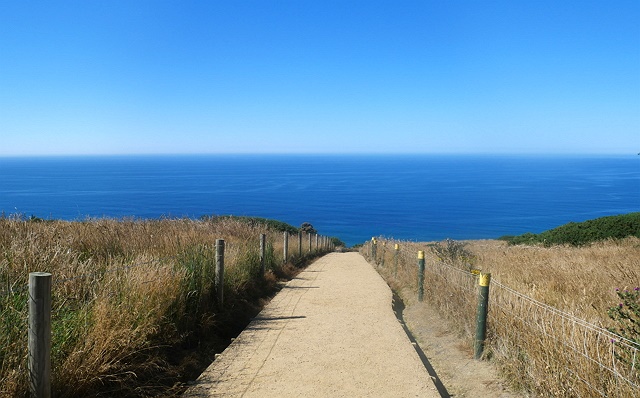 photo-1