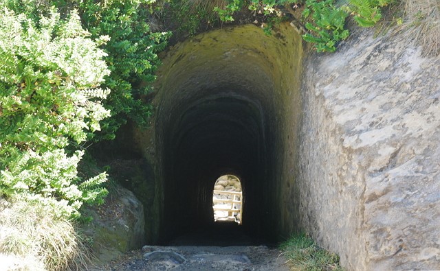 photo-3