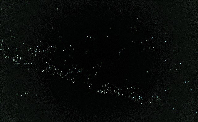 ワイトモケーブ Glow worm