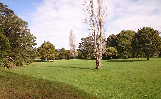 DSC 2578