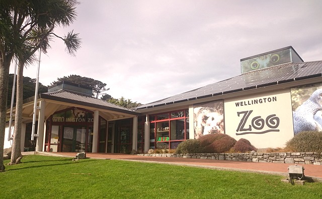 DSC 2504